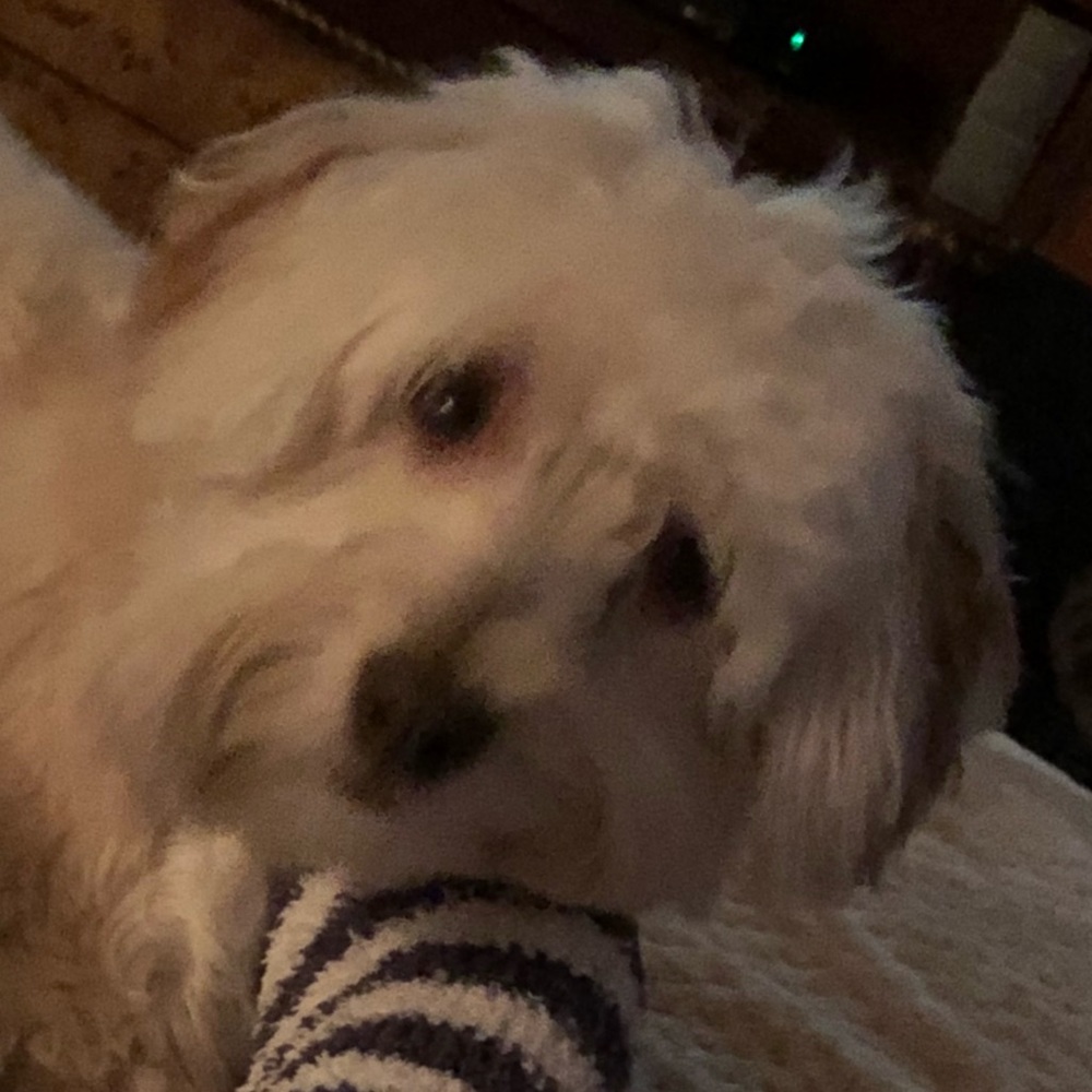 Meet your Posher, Lori